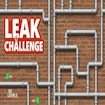Leak Challenge